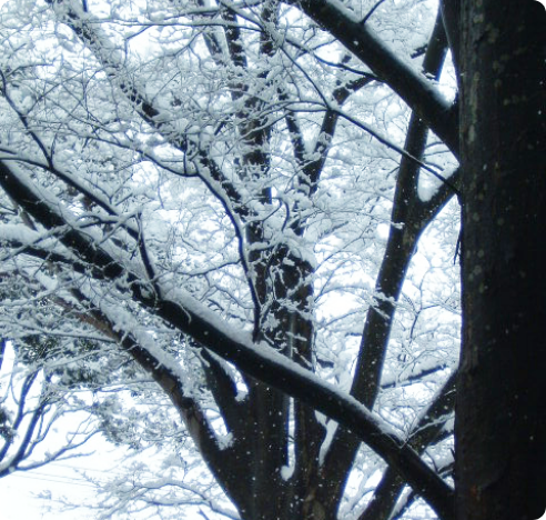 winter