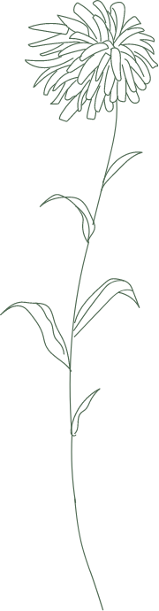 flower01