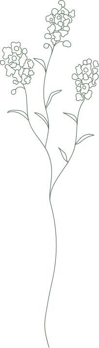 flower02